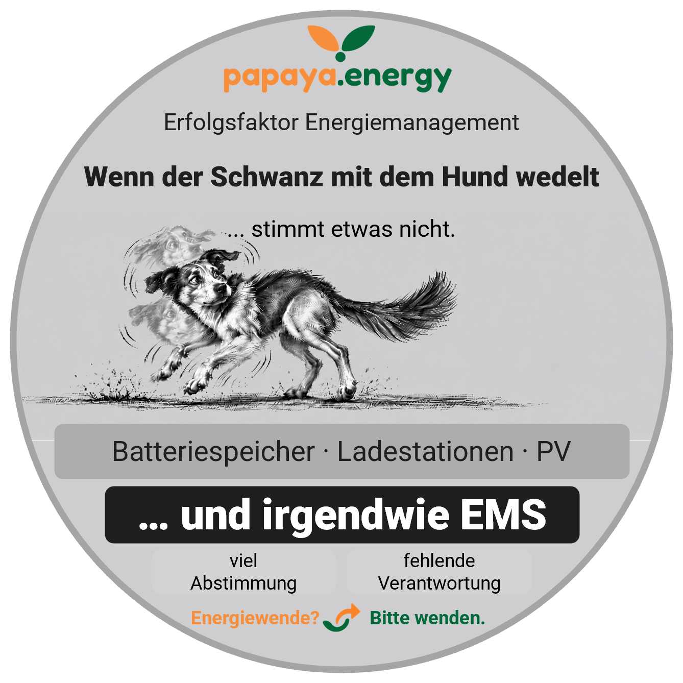 Papaya Energy – Erfolgsfaktor EMS